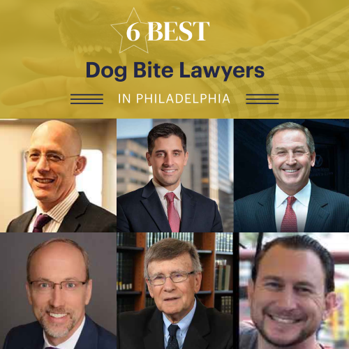 6 Best Dog Bite Lawyers in Philadelphia